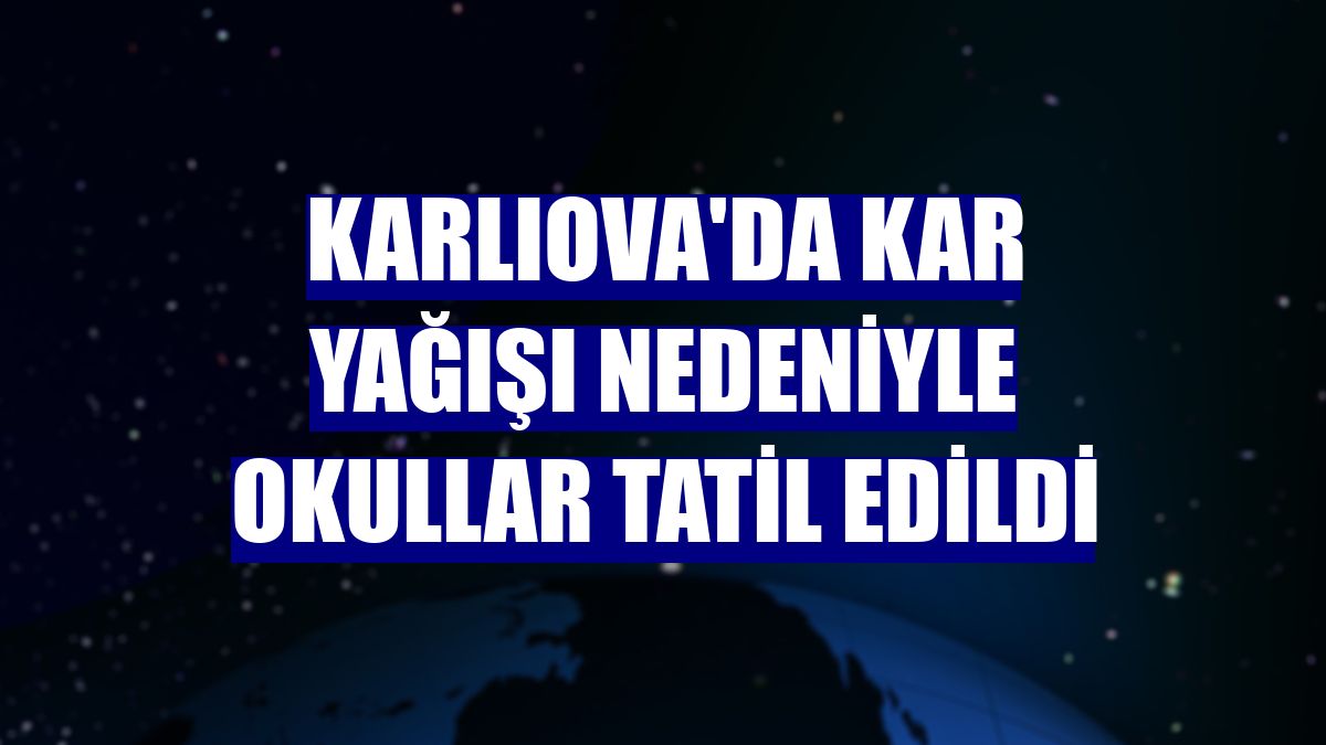 Karlıova'da kar yağışı nedeniyle okullar tatil edildi