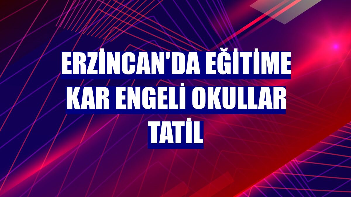 Erzincan'da eğitime kar engeli okullar tatil