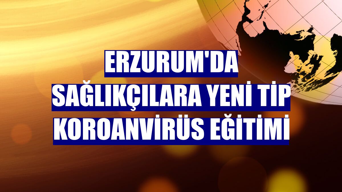 Erzurum'da sağlıkçılara yeni tip koroanvirüs eğitimi