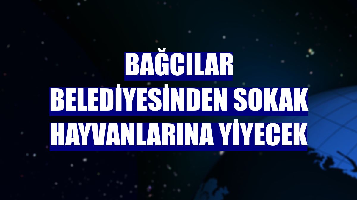 Bağcılar Belediyesinden sokak hayvanlarına yiyecek