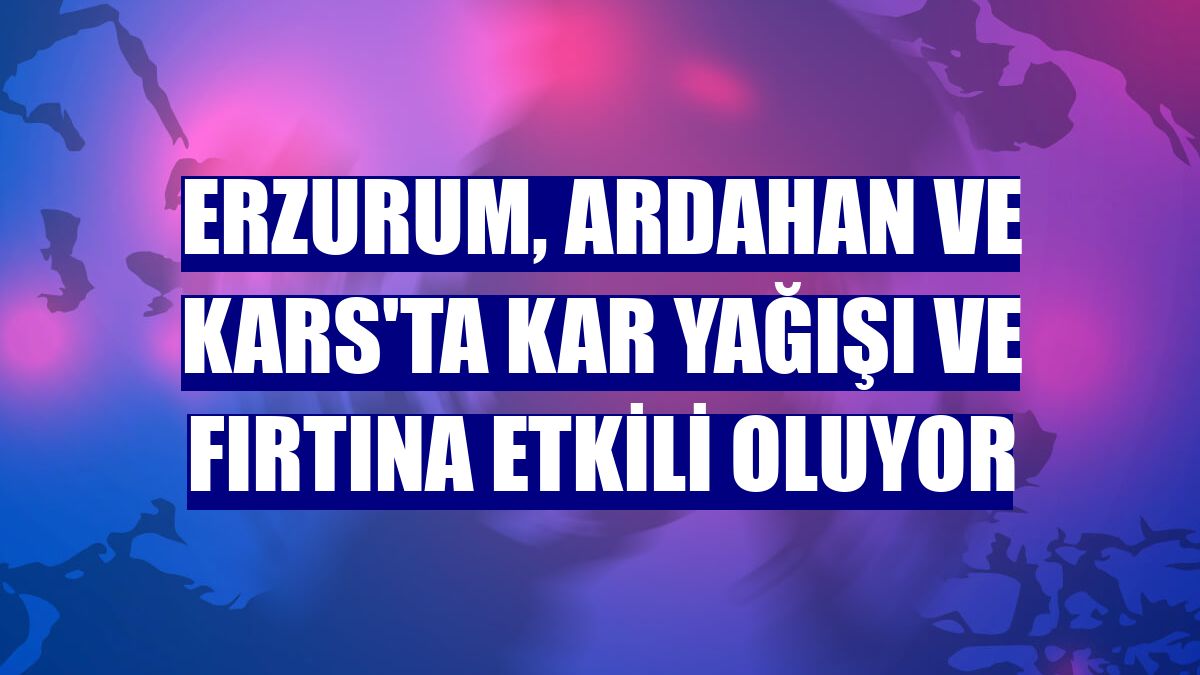 Erzurum, Ardahan ve Kars'ta kar yağışı ve fırtına etkili oluyor