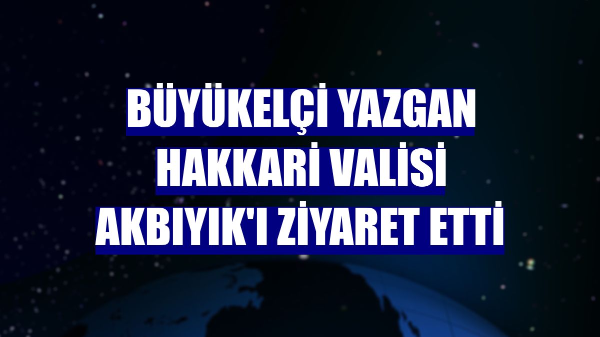 Büyükelçi Yazgan Hakkari Valisi Akbıyık'ı ziyaret etti