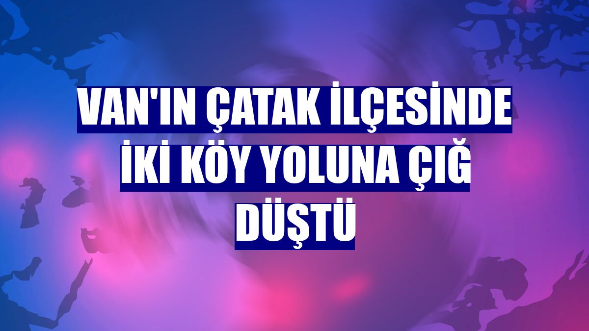 Van'ın Çatak ilçesinde iki köy yoluna çığ düştü