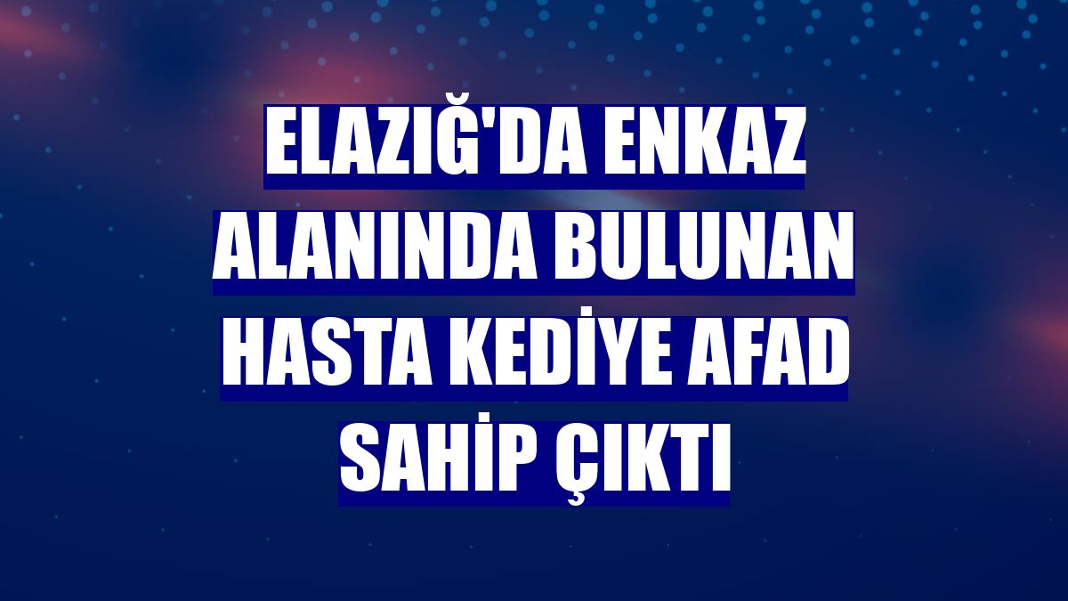 Elazığ'da enkaz alanında bulunan hasta kediye AFAD sahip çıktı