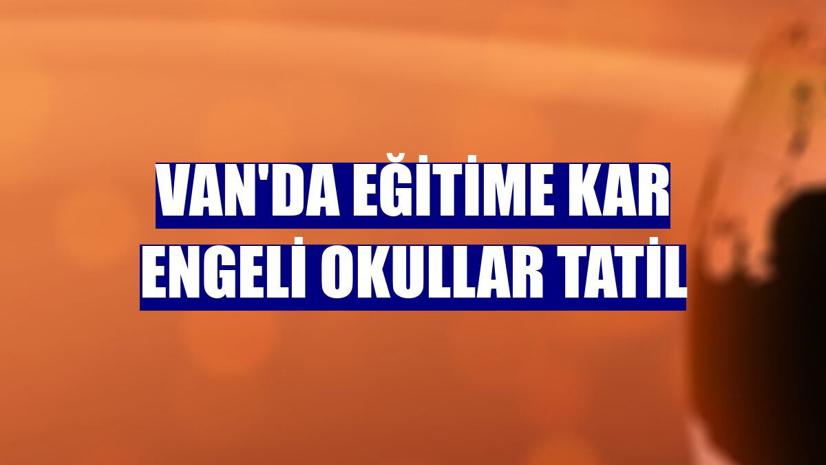 Van'da eğitime kar engeli okullar tatil