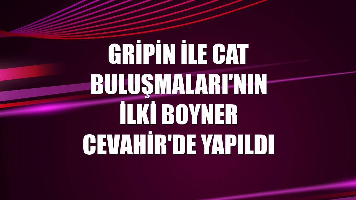 Gripin ile Cat Buluşmaları'nın ilki Boyner Cevahir'de yapıldı