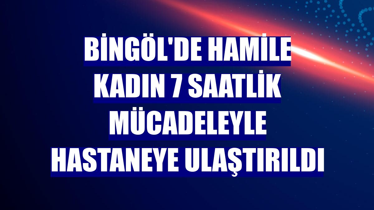 Bingöl'de hamile kadın 7 saatlik mücadeleyle hastaneye ulaştırıldı