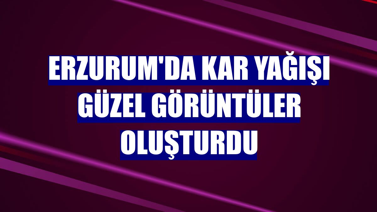 Erzurum'da kar yağışı güzel görüntüler oluşturdu