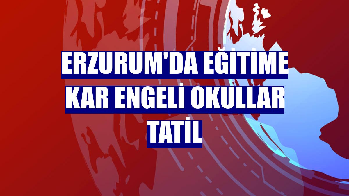 Erzurum'da eğitime kar engeli okullar tatil