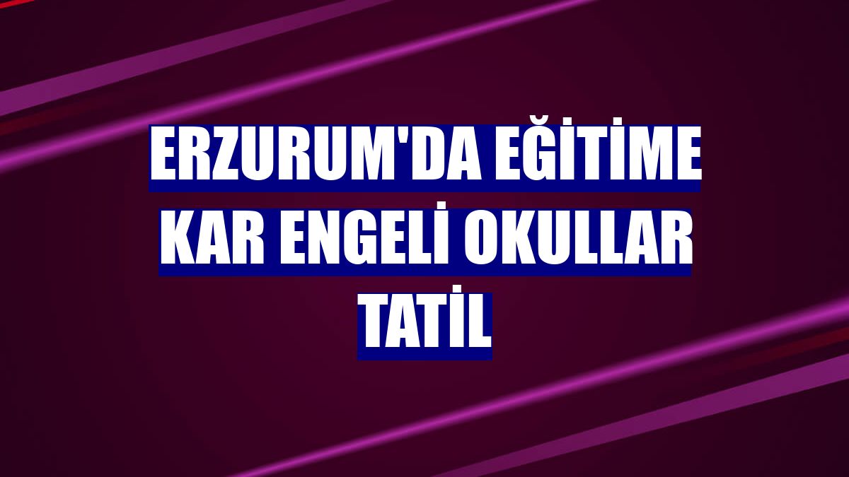 Erzurum'da eğitime kar engeli okullar tatil