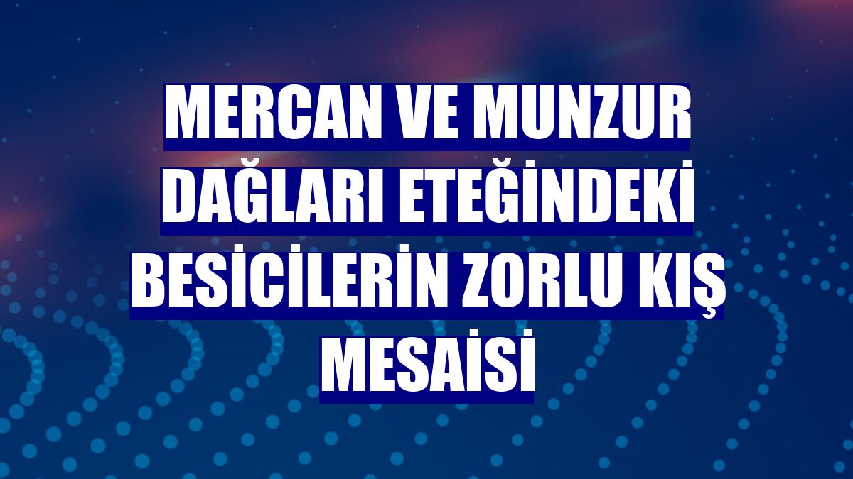 Mercan ve Munzur dağları eteğindeki besicilerin zorlu kış mesaisi