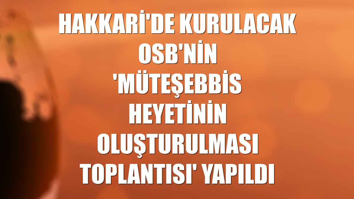 Hakkari'de kurulacak OSB'nin 'müteşebbis heyetinin oluşturulması toplantısı' yapıldı