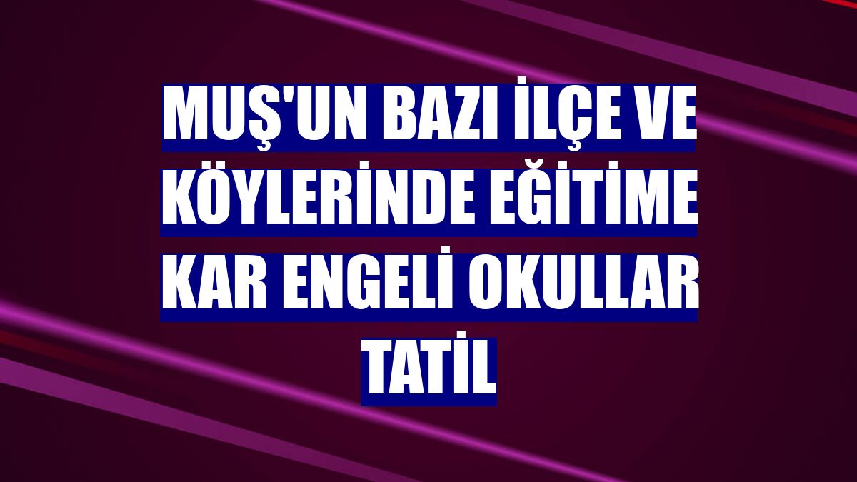 Muş'un bazı ilçe ve köylerinde eğitime kar engeli okullar tatil