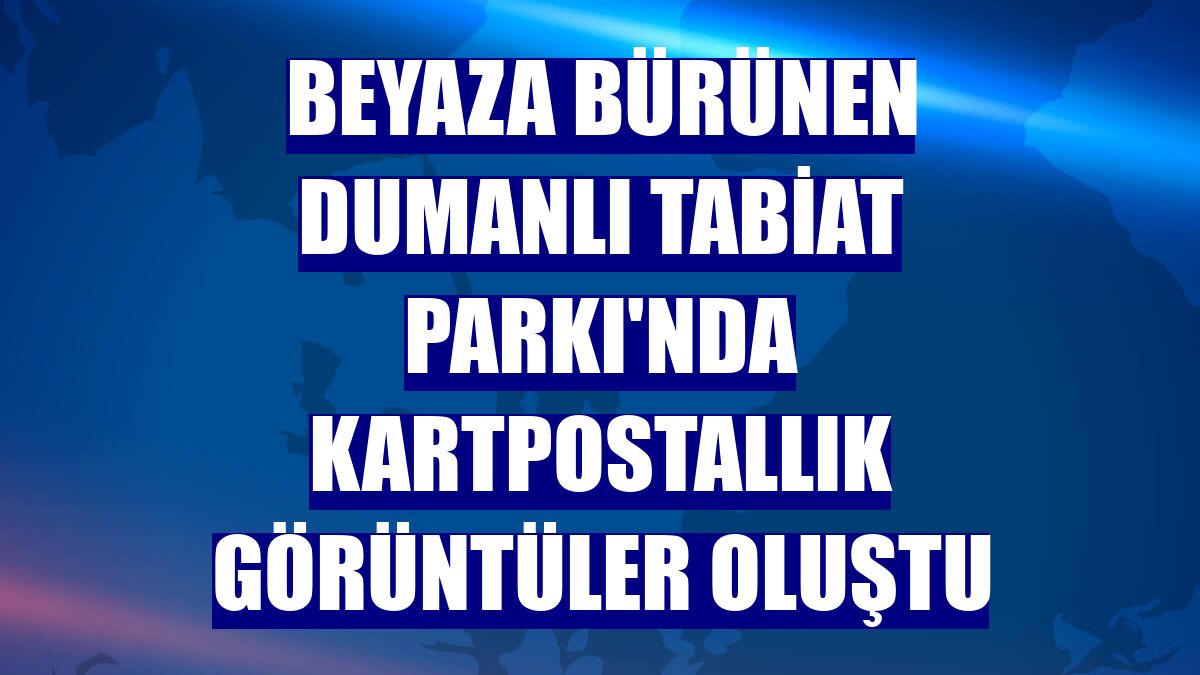 Beyaza bürünen Dumanlı Tabiat Parkı'nda kartpostallık görüntüler oluştu