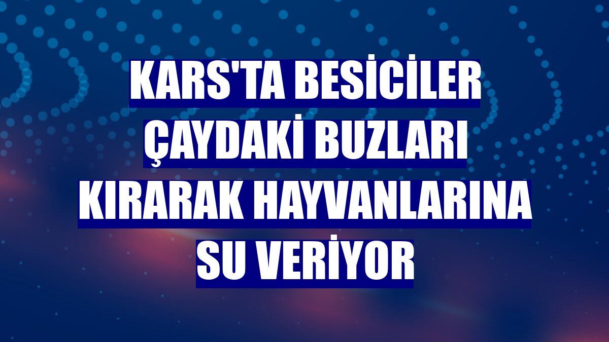 Kars'ta besiciler çaydaki buzları kırarak hayvanlarına su veriyor