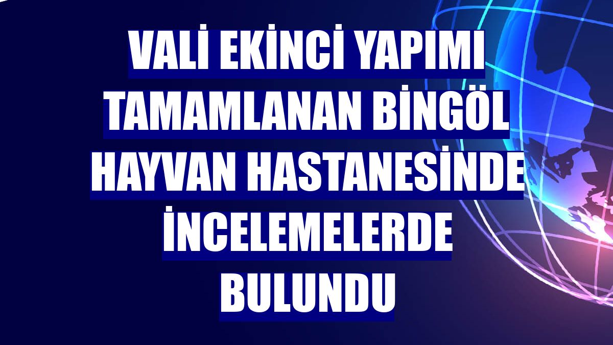 Vali Ekinci yapımı tamamlanan Bingöl Hayvan Hastanesinde incelemelerde bulundu