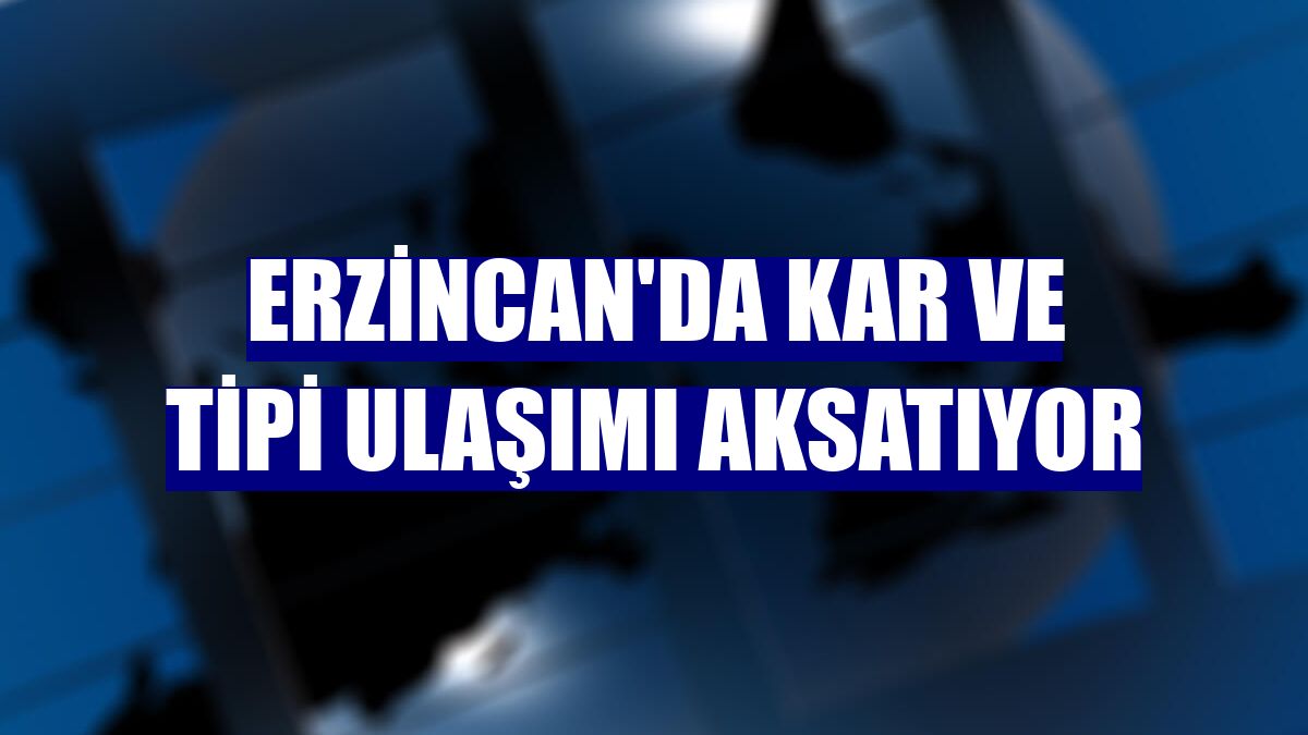 Erzincan'da kar ve tipi ulaşımı aksatıyor