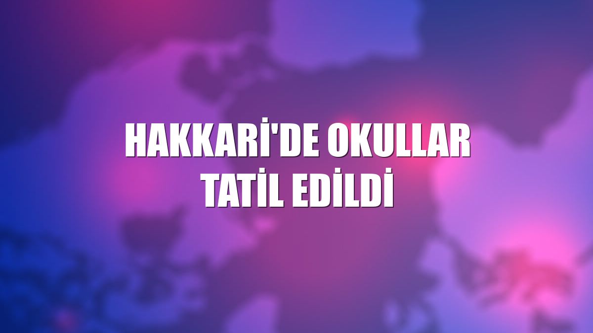 Hakkari'de okullar tatil edildi