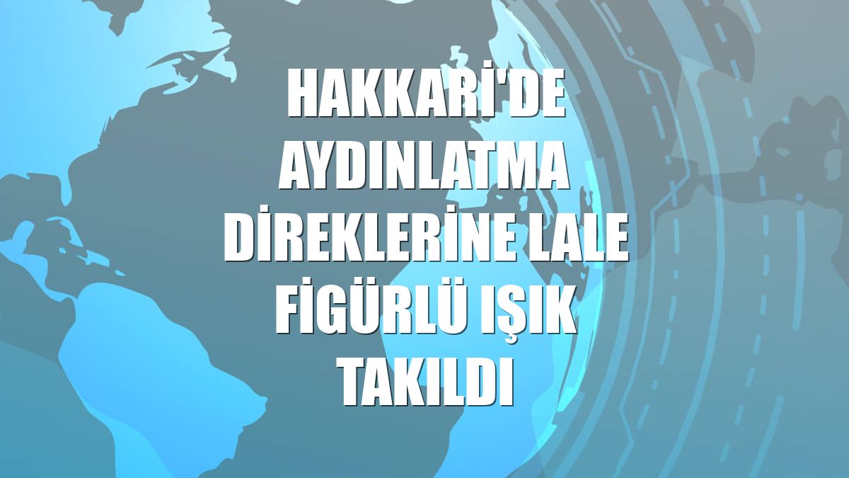Hakkari'de aydınlatma direklerine lale figürlü ışık takıldı