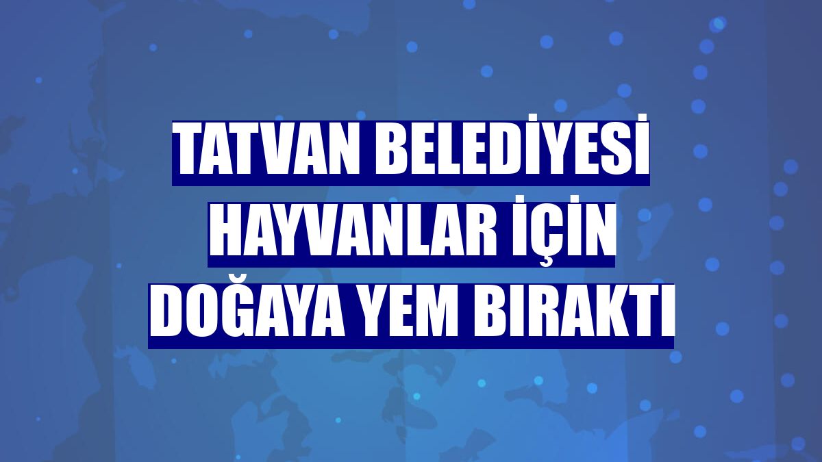 Tatvan Belediyesi hayvanlar için doğaya yem bıraktı