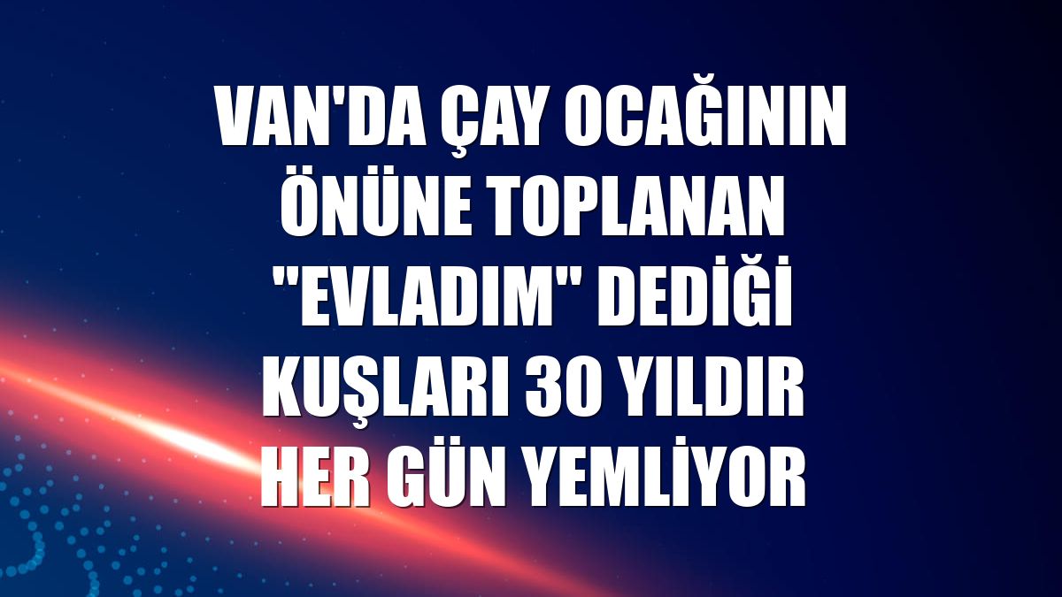 Van'da çay ocağının önüne toplanan "evladım" dediği kuşları 30 yıldır her gün yemliyor
