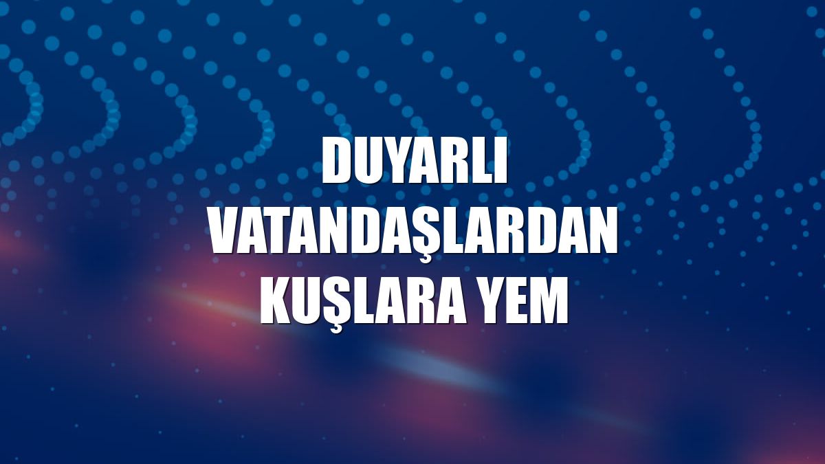 Duyarlı vatandaşlardan kuşlara yem