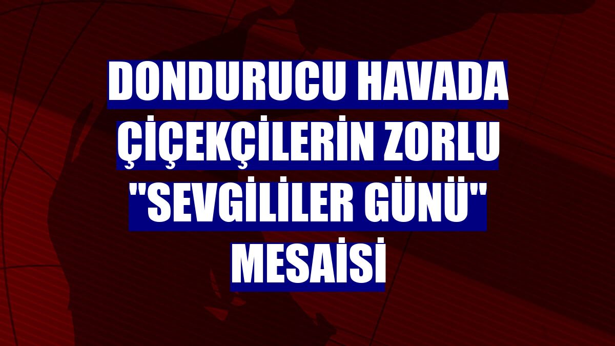 Dondurucu havada çiçekçilerin zorlu "Sevgililer Günü" mesaisi