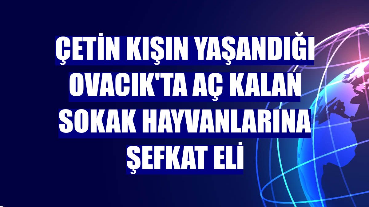 Çetin kışın yaşandığı Ovacık'ta aç kalan sokak hayvanlarına şefkat eli