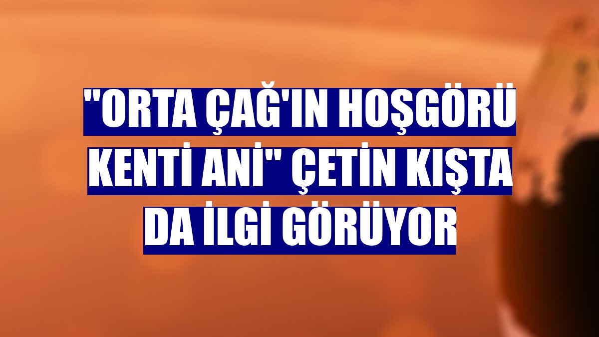 "Orta Çağ'ın hoşgörü kenti Ani" çetin kışta da ilgi görüyor