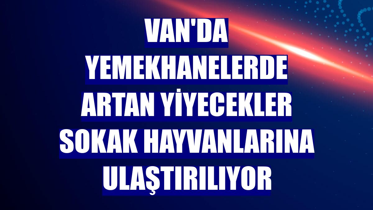 Van'da yemekhanelerde artan yiyecekler sokak hayvanlarına ulaştırılıyor