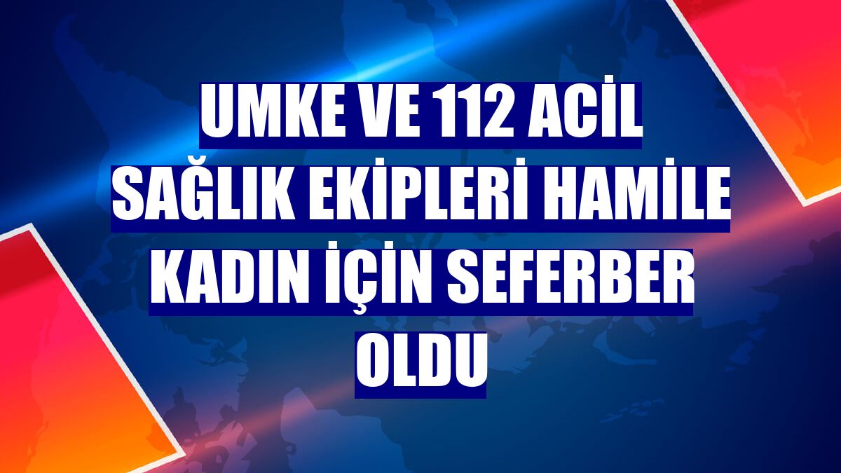 UMKE ve 112 Acil Sağlık ekipleri hamile kadın için seferber oldu