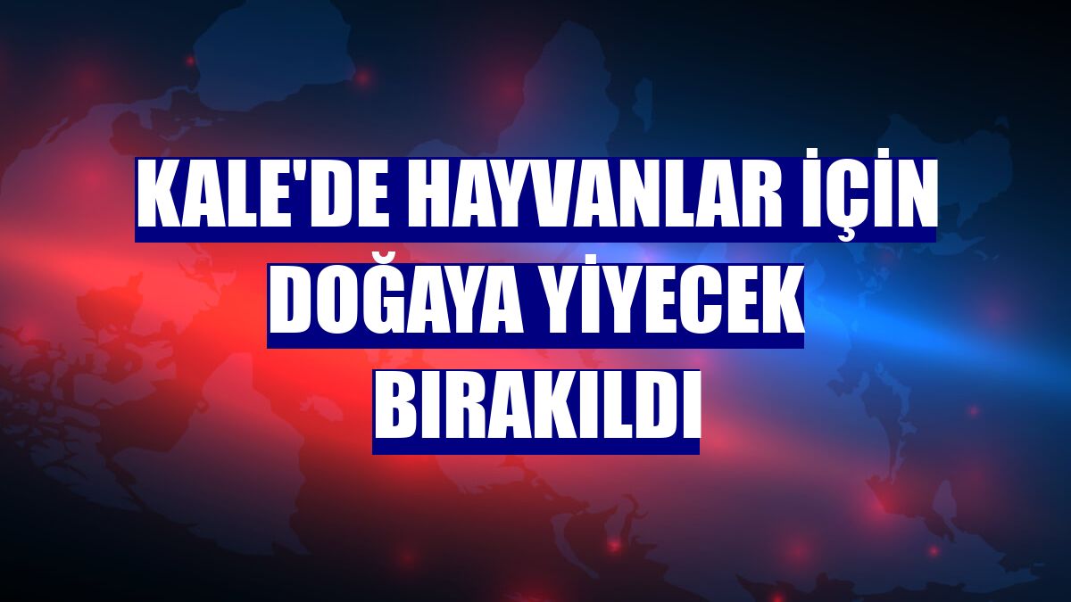 Kale'de hayvanlar için doğaya yiyecek bırakıldı