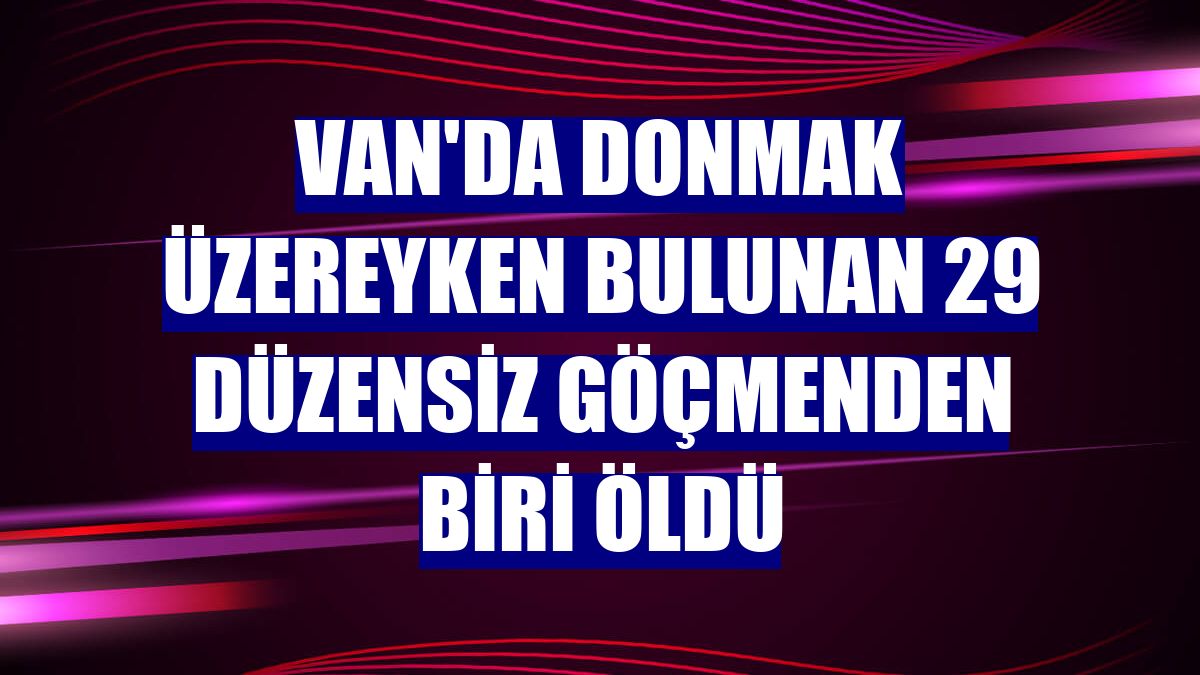 Van'da donmak üzereyken bulunan 29 düzensiz göçmenden biri öldü