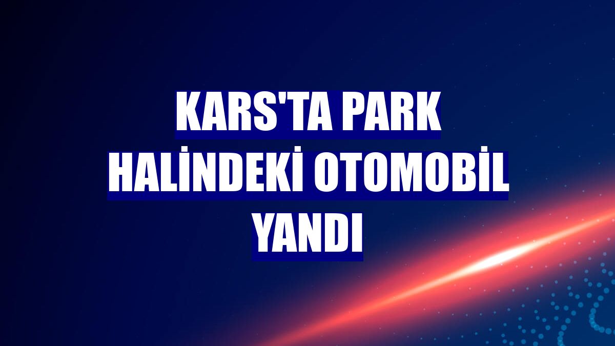 Kars'ta park halindeki otomobil yandı