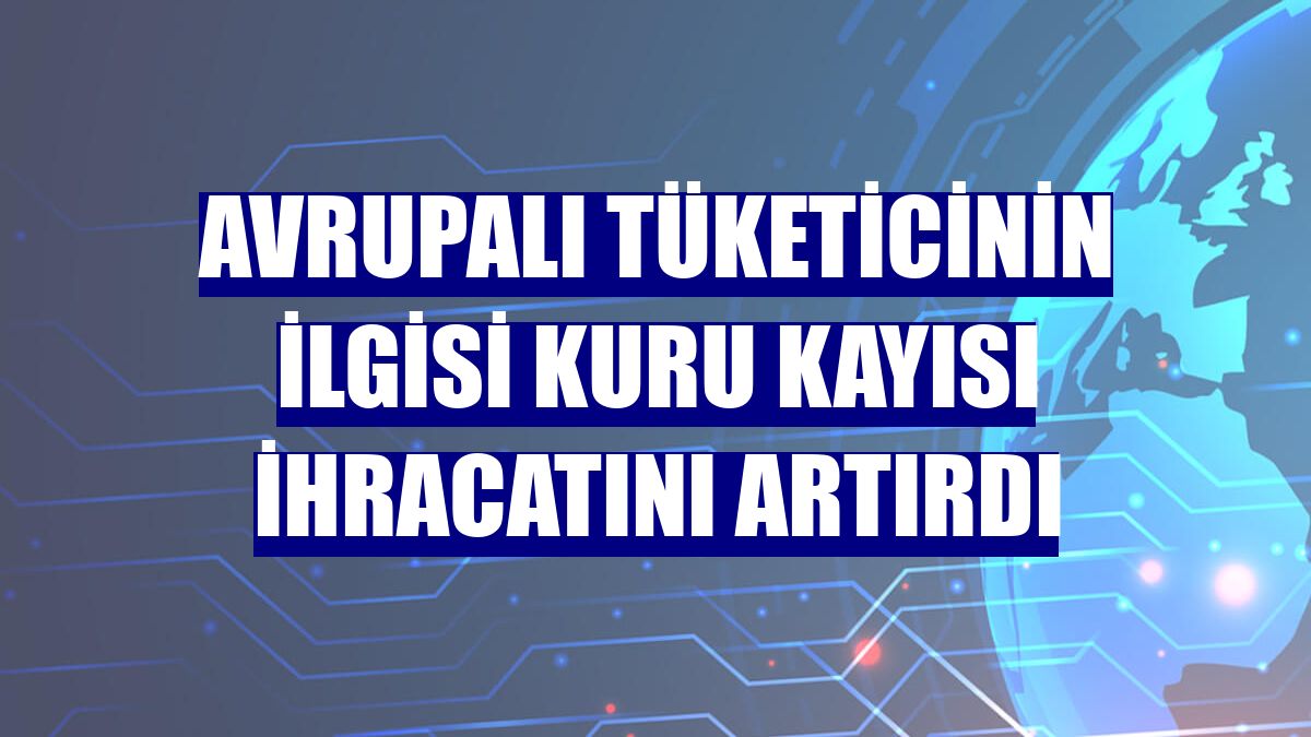 Avrupalı tüketicinin ilgisi kuru kayısı ihracatını artırdı