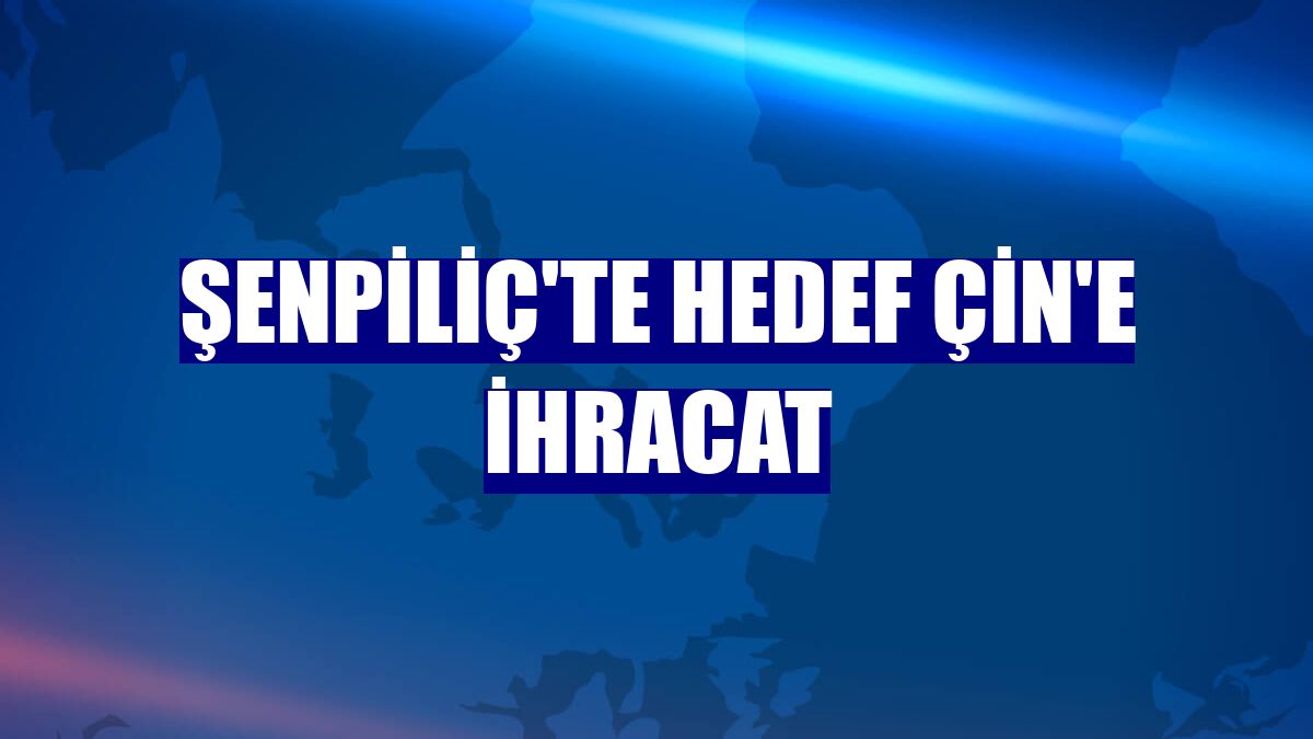 Şenpiliç'te hedef Çin'e ihracat