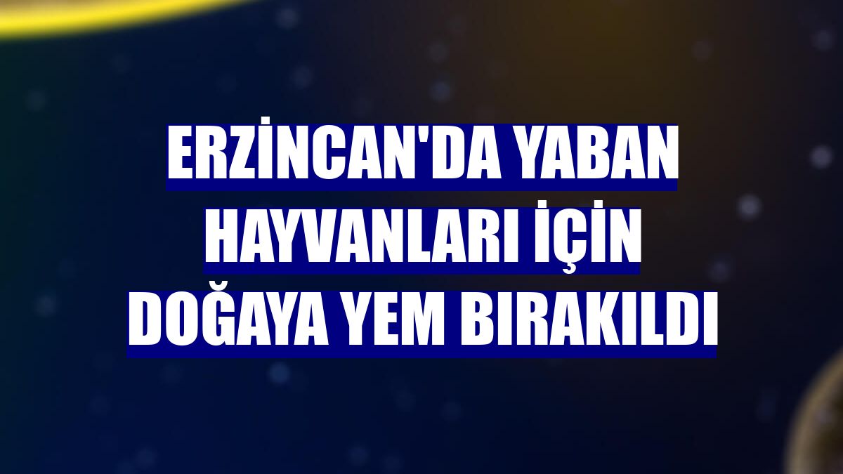 Erzincan'da yaban hayvanları için doğaya yem bırakıldı