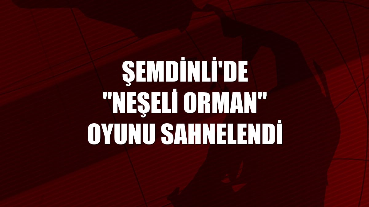 Şemdinli'de "Neşeli Orman" oyunu sahnelendi