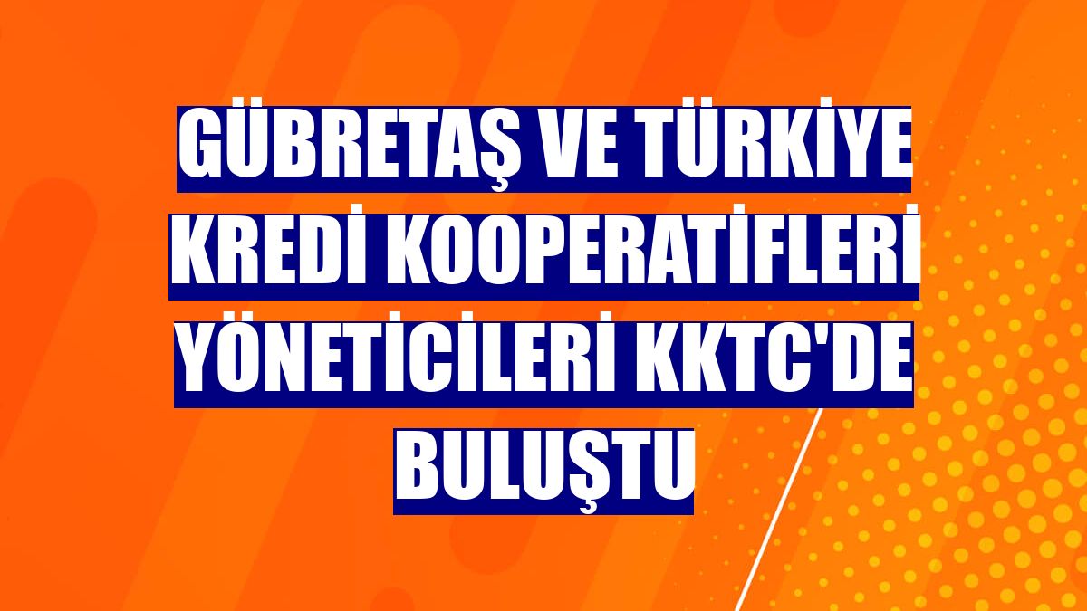 GÜBRETAŞ ve Türkiye Kredi Kooperatifleri yöneticileri KKTC'de buluştu