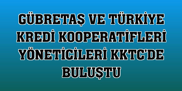 GÜBRETAŞ ve Türkiye Kredi Kooperatifleri yöneticileri KKTC'de buluştu