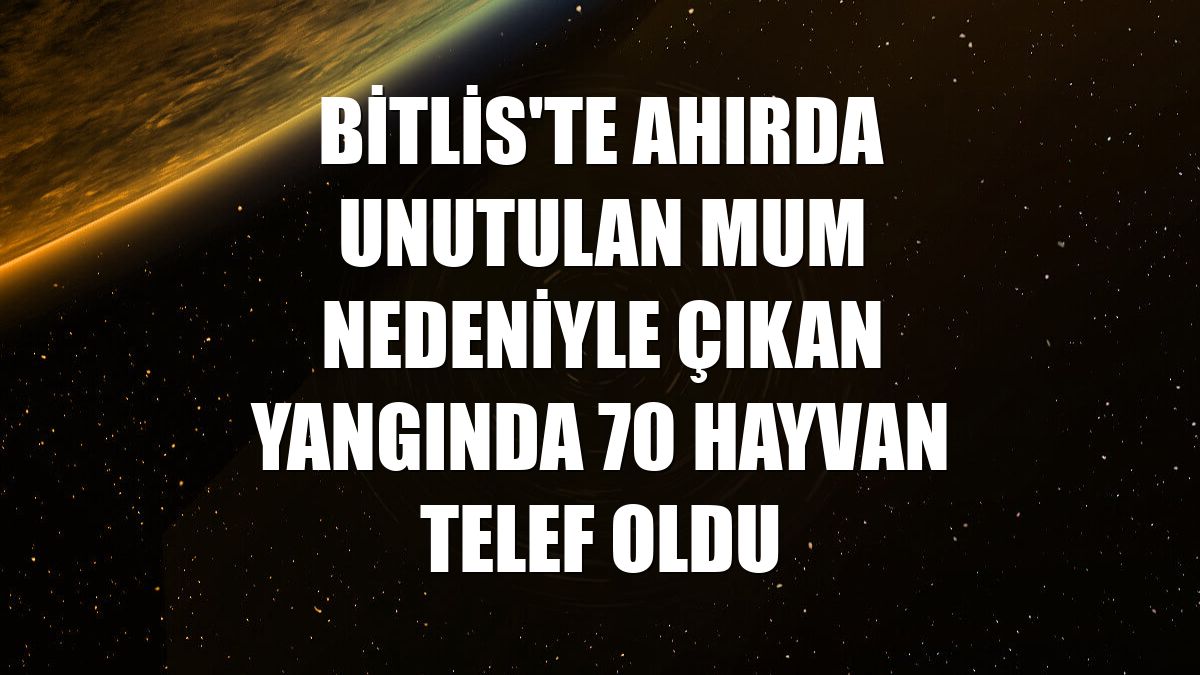 Bitlis'te ahırda unutulan mum nedeniyle çıkan yangında 70 hayvan telef oldu