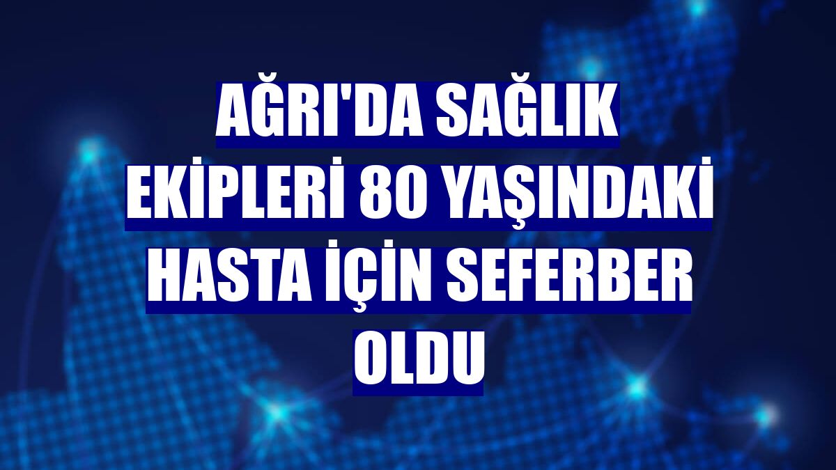 Ağrı'da sağlık ekipleri 80 yaşındaki hasta için seferber oldu
