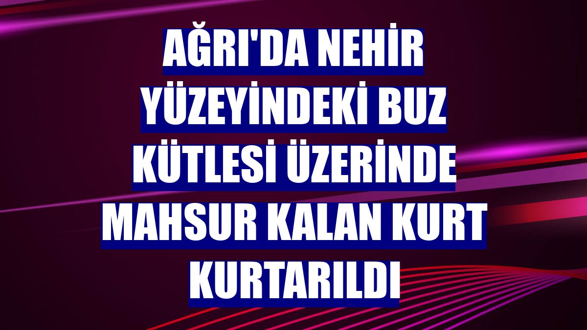 Ağrı'da nehir yüzeyindeki buz kütlesi üzerinde mahsur kalan kurt kurtarıldı