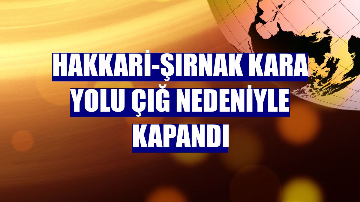 Hakkari-Şırnak kara yolu çığ nedeniyle kapandı