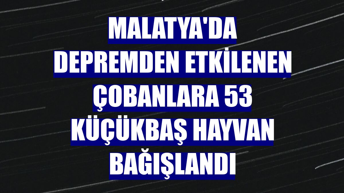 Malatya'da depremden etkilenen çobanlara 53 küçükbaş hayvan bağışlandı