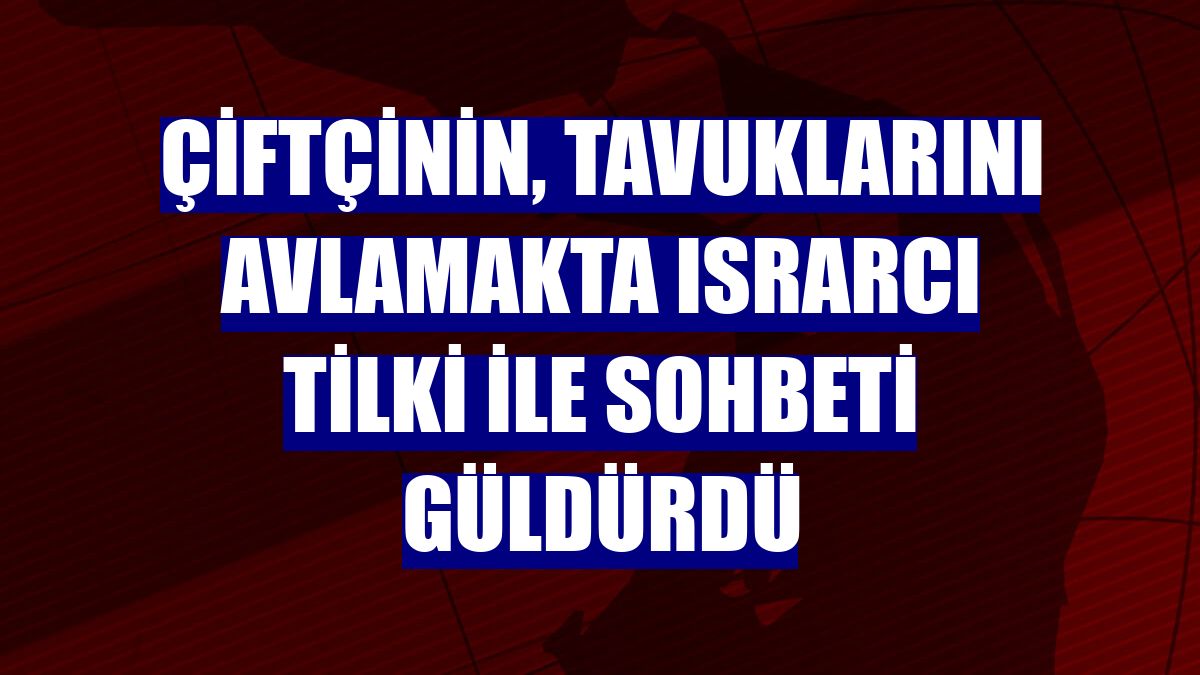 Çiftçinin, tavuklarını avlamakta ısrarcı tilki ile sohbeti güldürdü