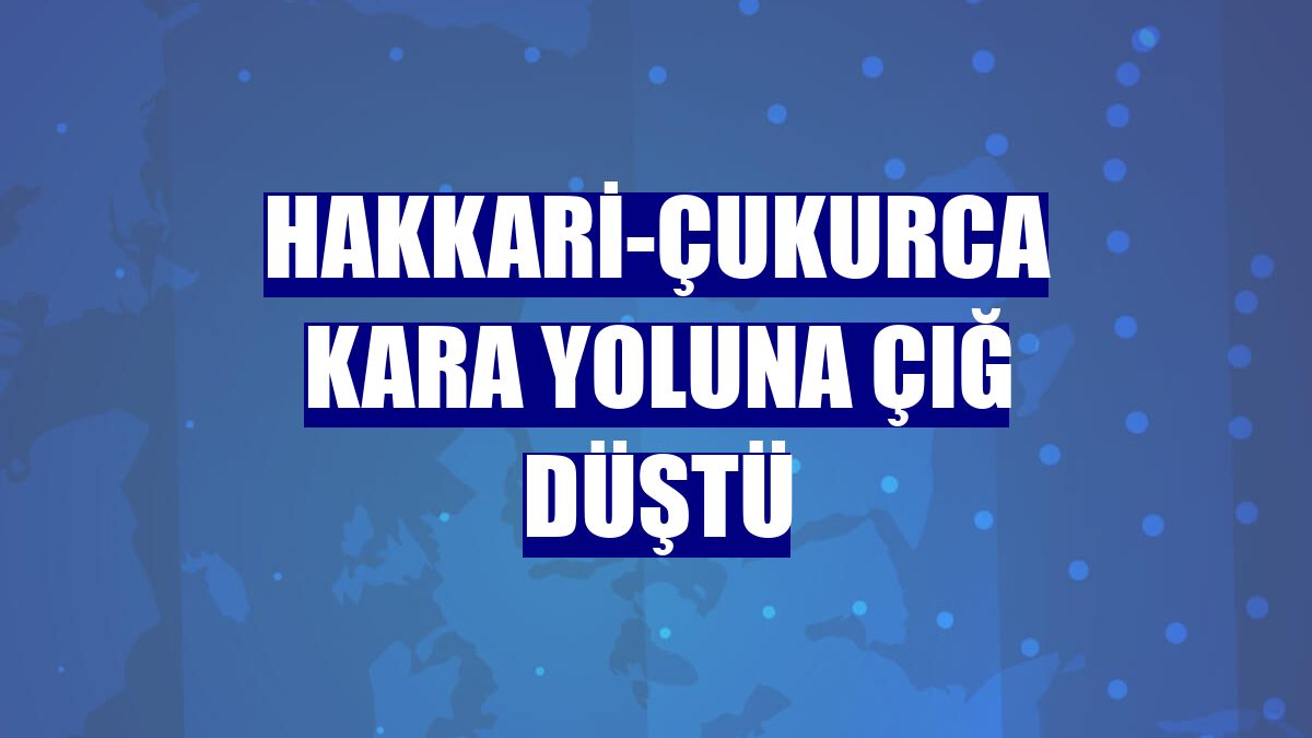 Hakkari-Çukurca kara yoluna çığ düştü