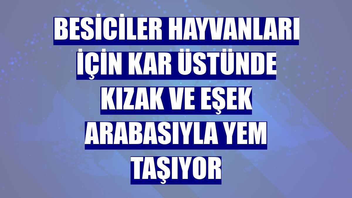 Besiciler hayvanları için kar üstünde kızak ve eşek arabasıyla yem taşıyor