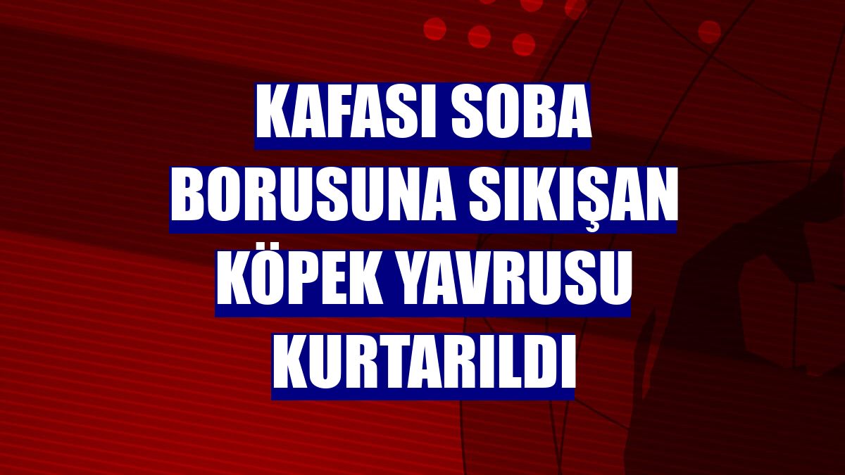 Kafası soba borusuna sıkışan köpek yavrusu kurtarıldı