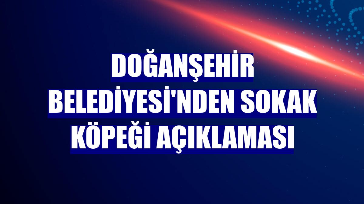 Doğanşehir Belediyesi'nden sokak köpeği açıklaması